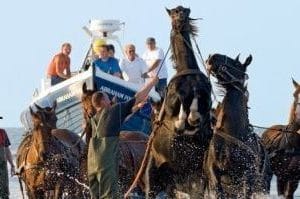 Reddingsdienst Ameland